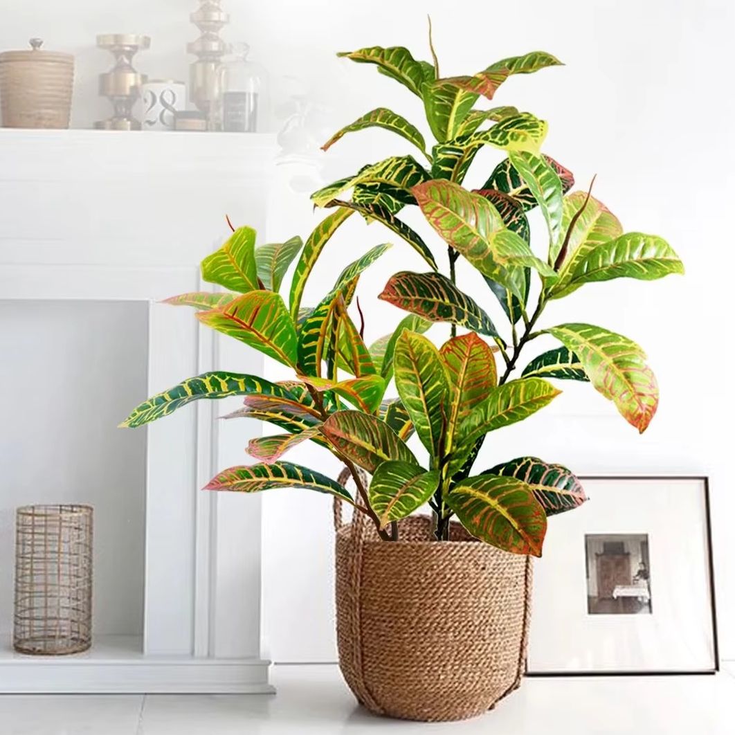 Dracaena Marginata - 21-120cm Artificial Plant Fake Banyan Tree