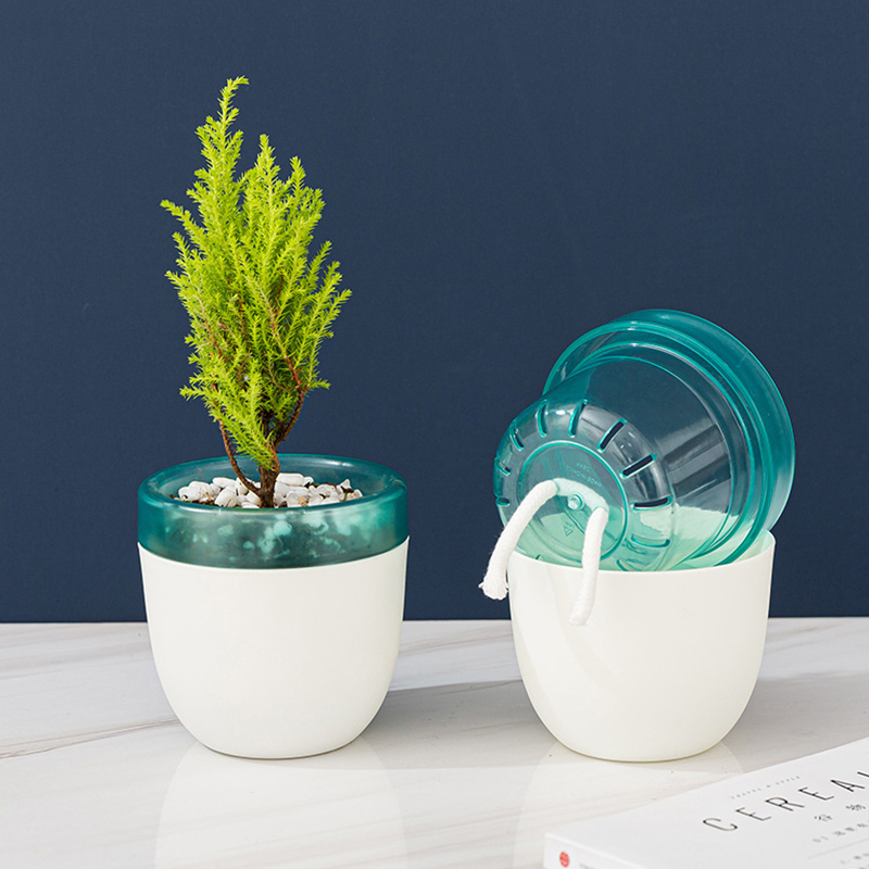 Aloe Vera Pot - Automatic Water Absorption Lazy Flowerpot No-Watering