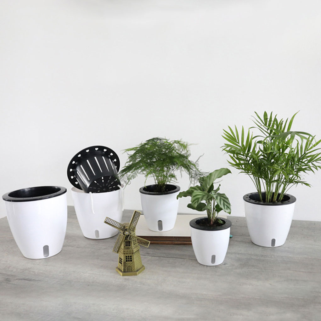 Aloe Vera Pot - White Portable And Eco-friendly Plant Pots