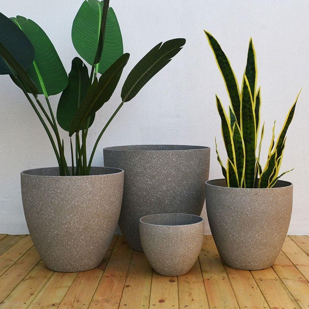 Frosted Imitation Stone Bonsai - Aloe Vera Pot ulasan dan harga