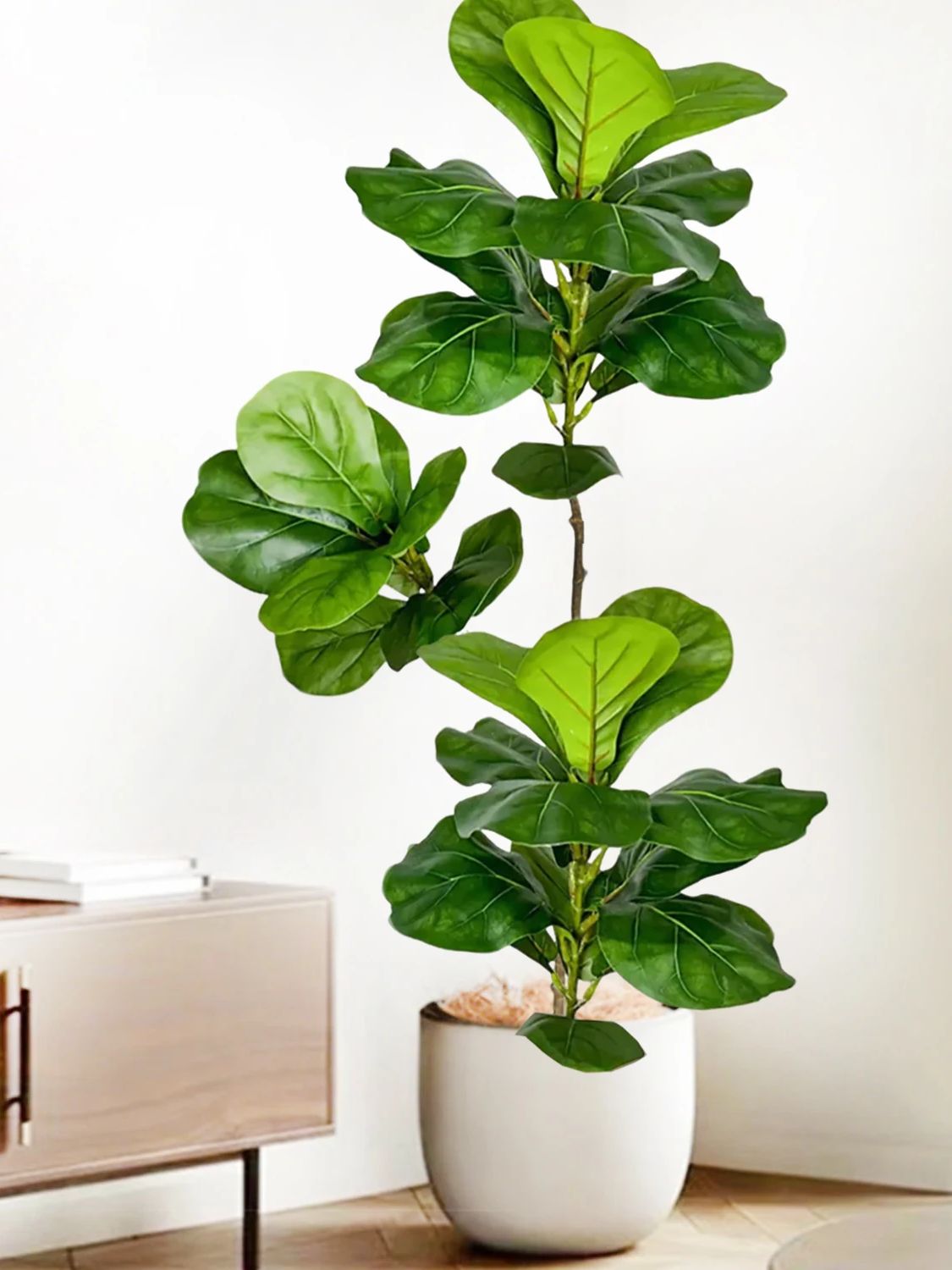 45-135cm  Artificial Fiddle Le - Ficus Lyrata Tree ulasan dan harga