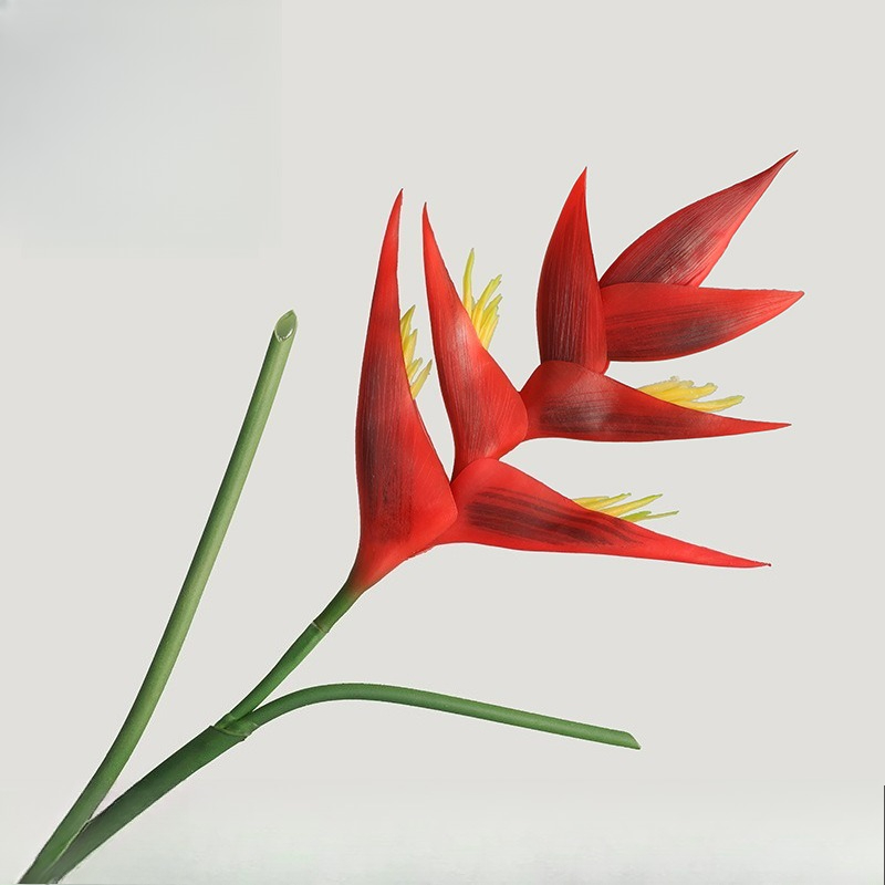 1PCS 85cm Artificial Strelitzi - Bird Paradise Strelitzia ulasan dan harga
