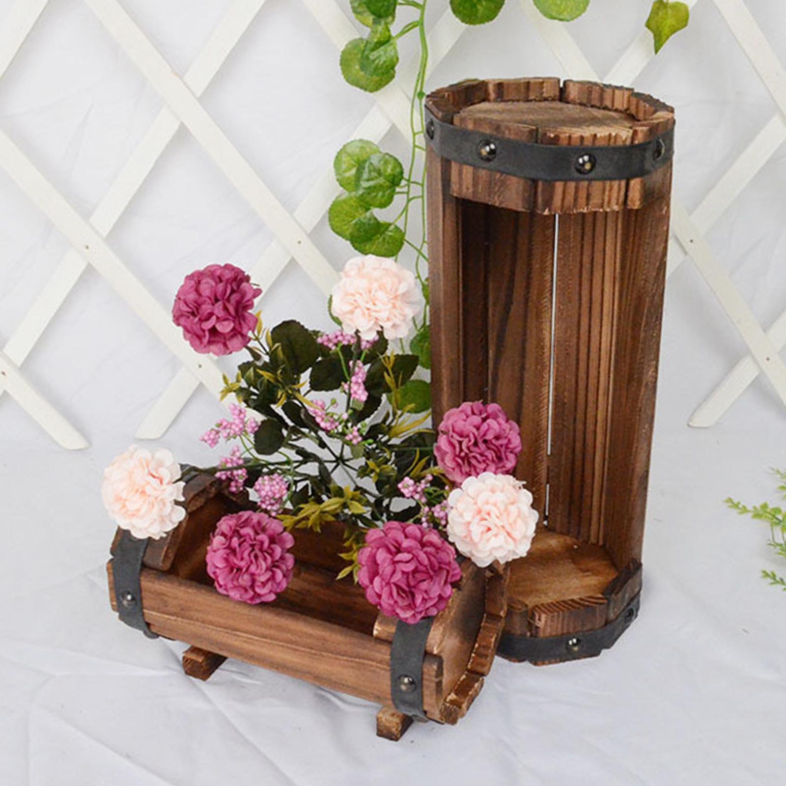 Antique Decorative Flower Pot  - Echeveria Succulent ulasan dan harga