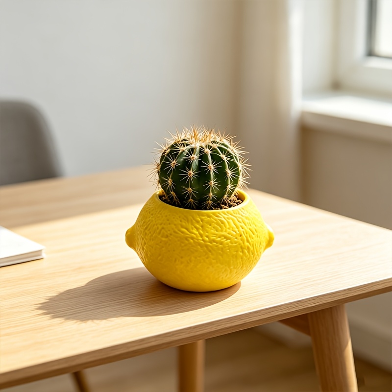 Lemon Shape Decorative Planter - Echeveria Succulent ulasan dan harga