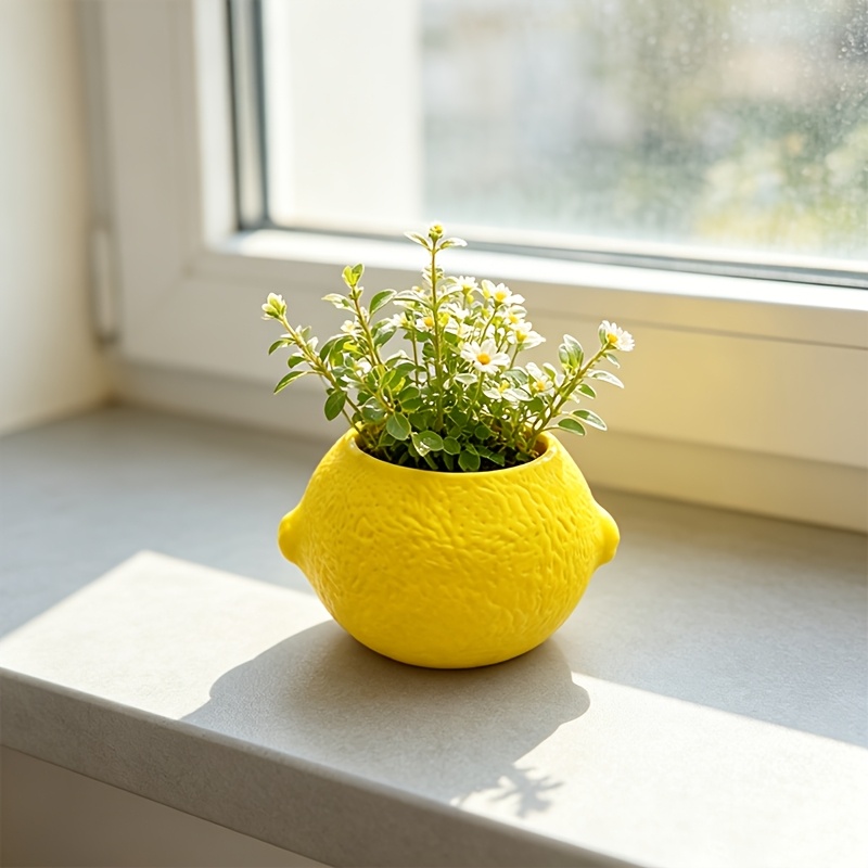 Lemon Shape Decorative Planter - Echeveria Succulent ulasan dan harga