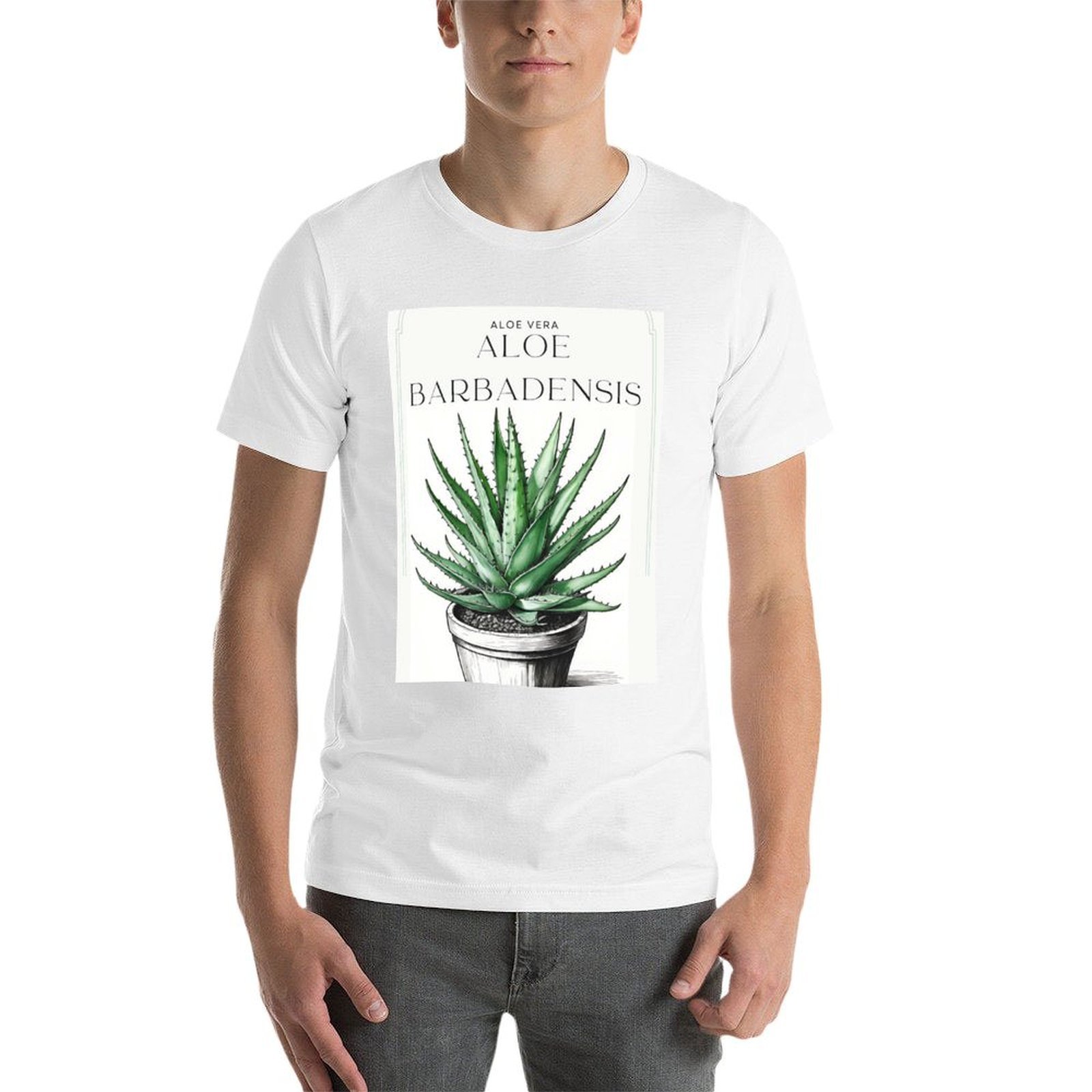 Botanical Aloe Vera in pot rus - Aloe Vera Pot ulasan dan harga