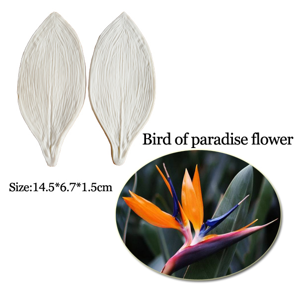 Large Gumpaste Strelitzia Bird - Bird Paradise Strelitzia ulasan dan harga
