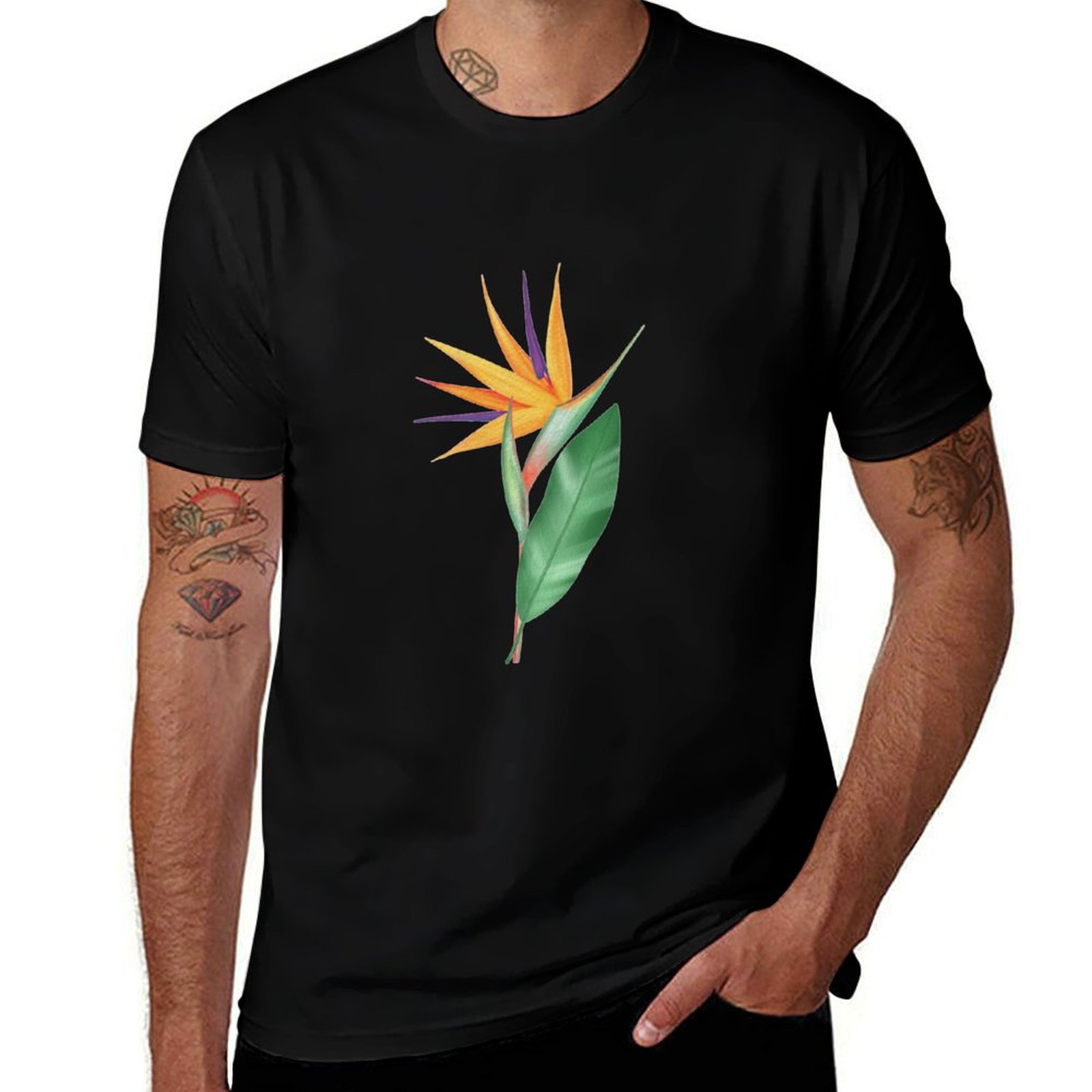 Watercolor bird of paradise fl - Bird Paradise Strelitzia ulasan dan harga