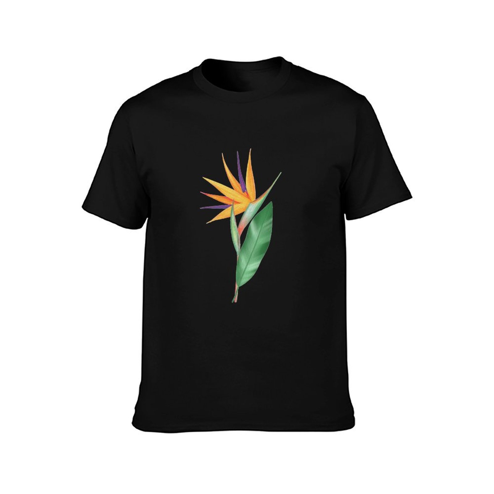 Watercolor bird of paradise fl - Bird Paradise Strelitzia ulasan dan harga