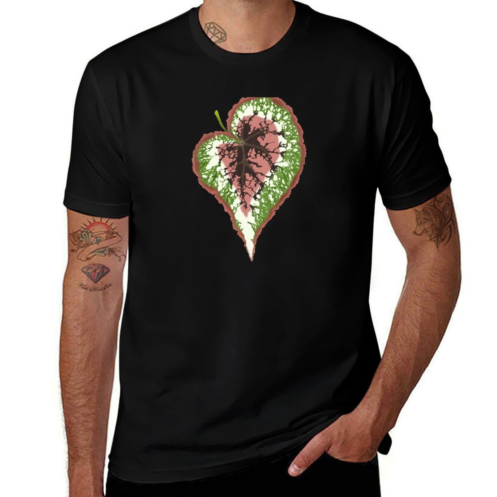 Begonia Rex T-Shirt Basic Simp - Begonia Rex ulasan dan harga