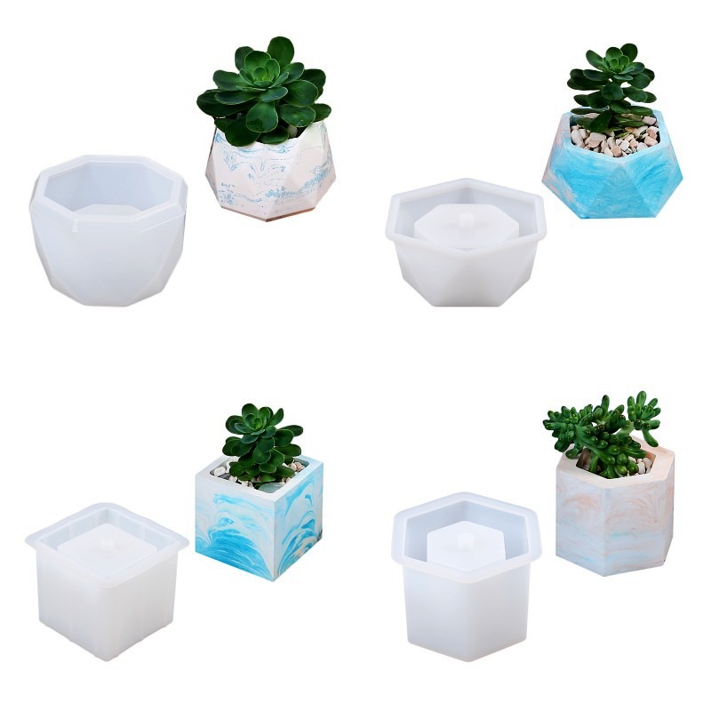 Succulent Flowerpot Silicone M - Echeveria Succulent ulasan dan harga