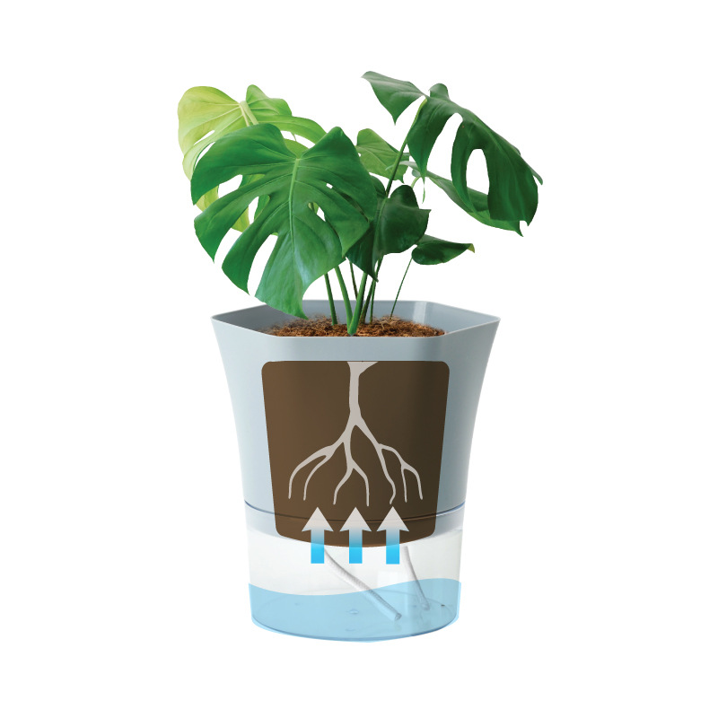 Transparent Plastic Self Water - Aloe Vera Pot ulasan dan harga