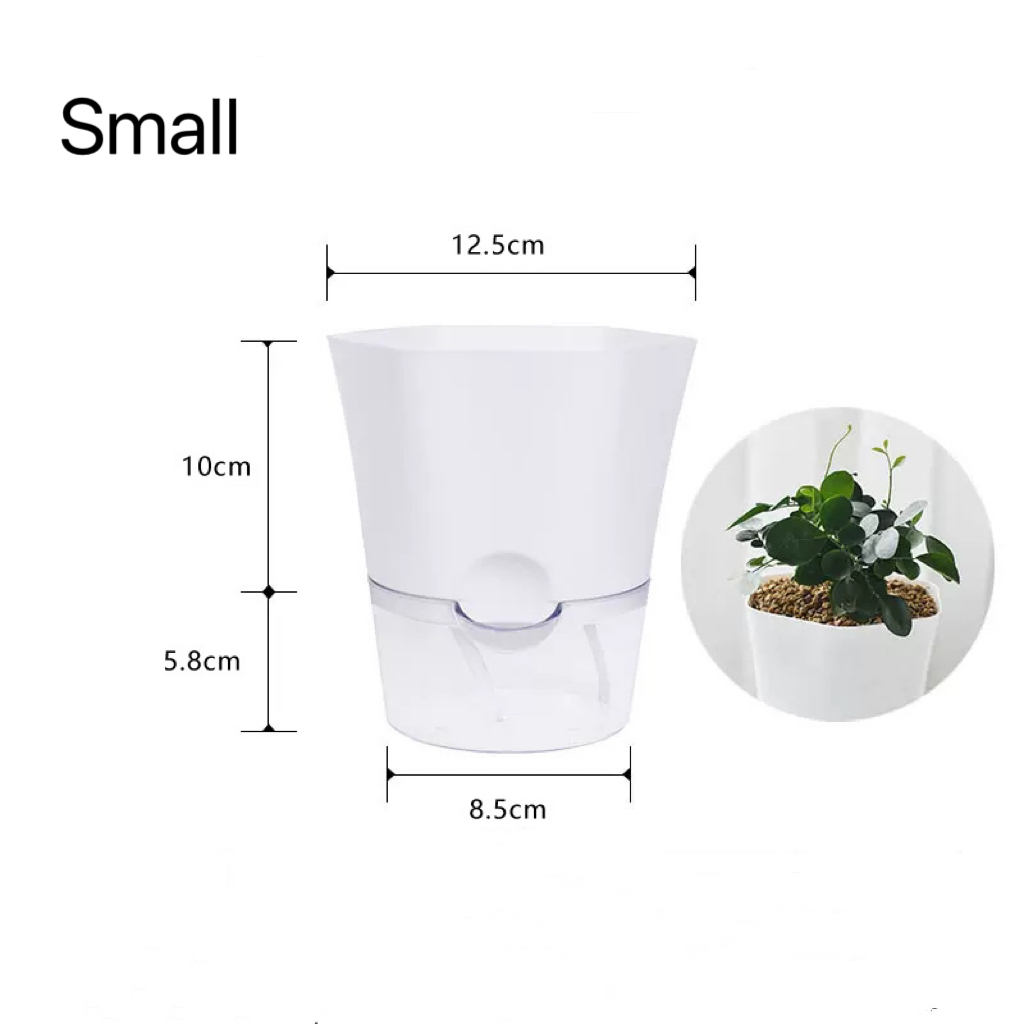 Transparent Plastic Self Water - Aloe Vera Pot ulasan dan harga