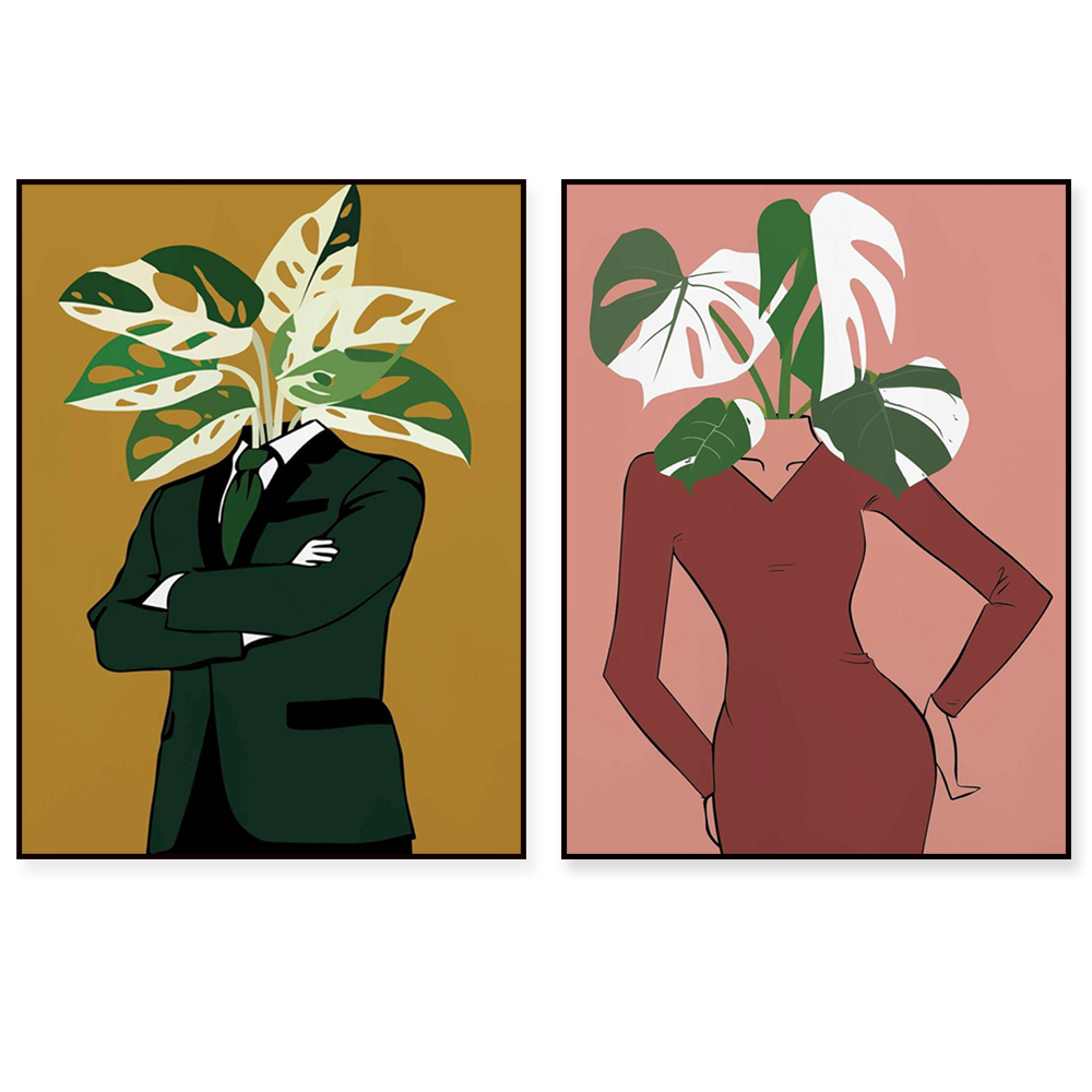 Monstera Albo in a burgundy dr - Monstera Adansonii ulasan dan harga