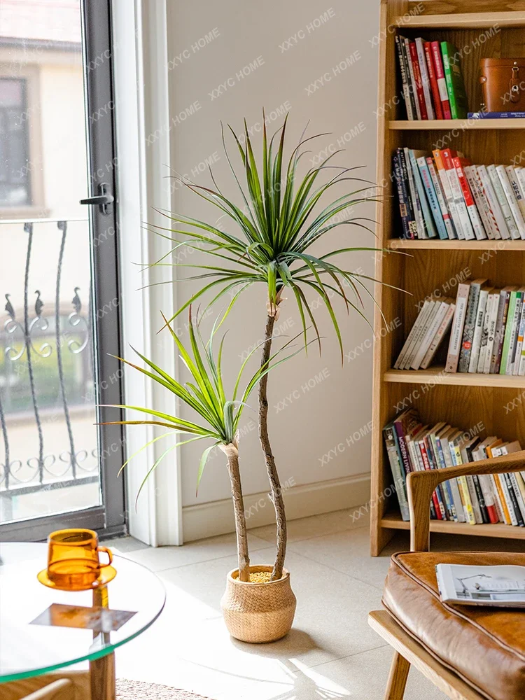 Light Luxury Simulation Green  - Dracaena Marginata ulasan dan harga