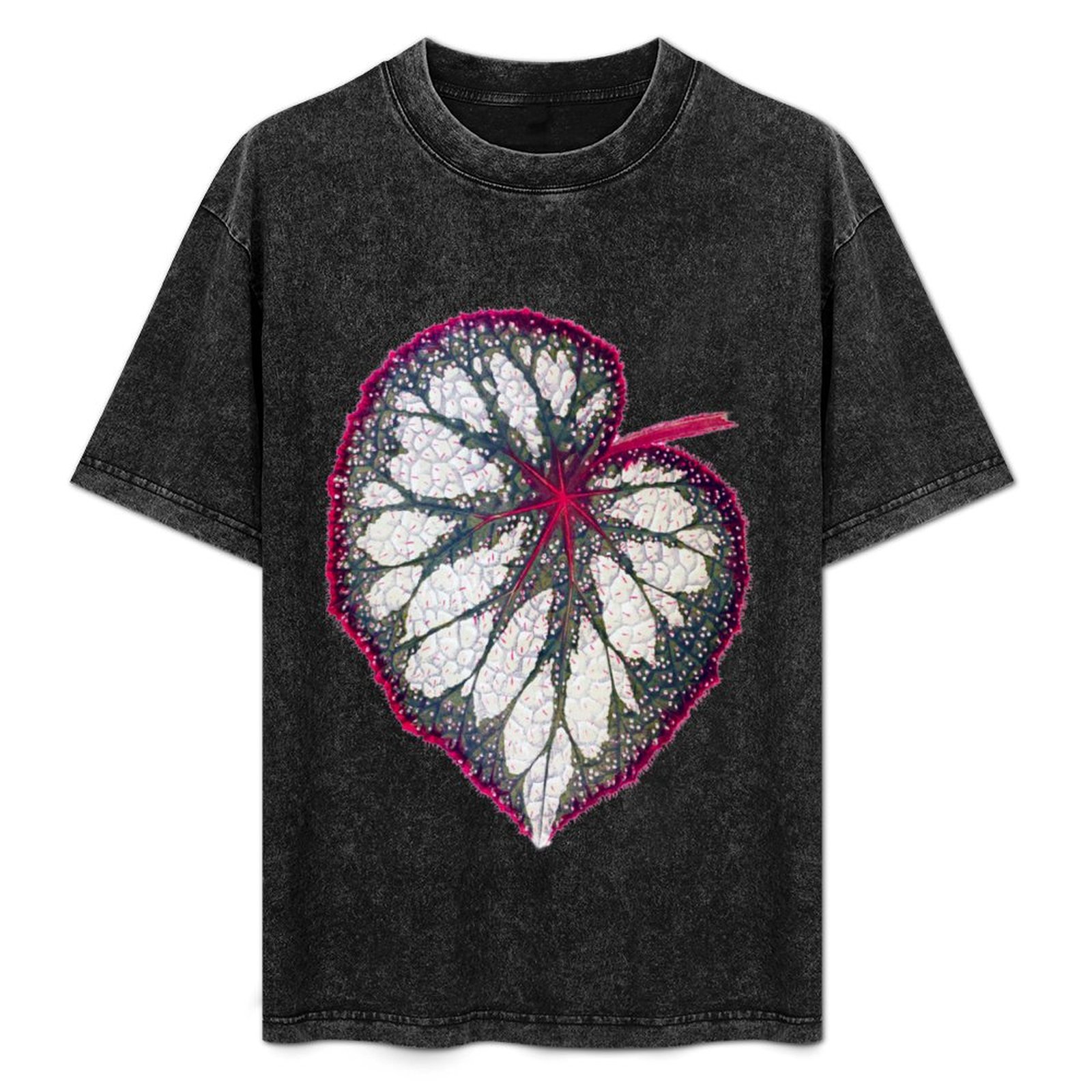 Begonia rex T-Shirt Holiday Si - Begonia Rex ulasan dan harga