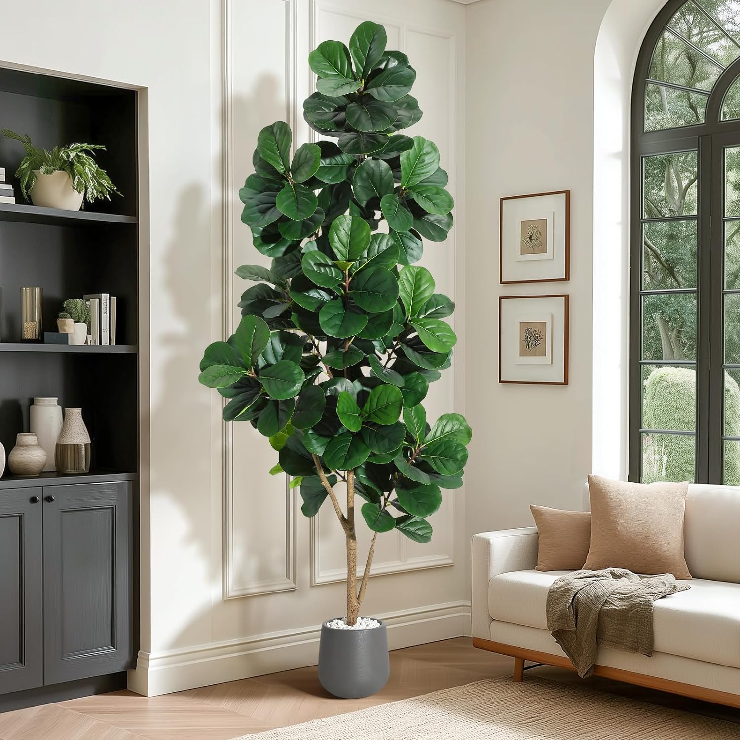 4FT/5FT/6FT/7FT Fiddle Leaf Fi - Ficus Lyrata Tree ulasan dan harga