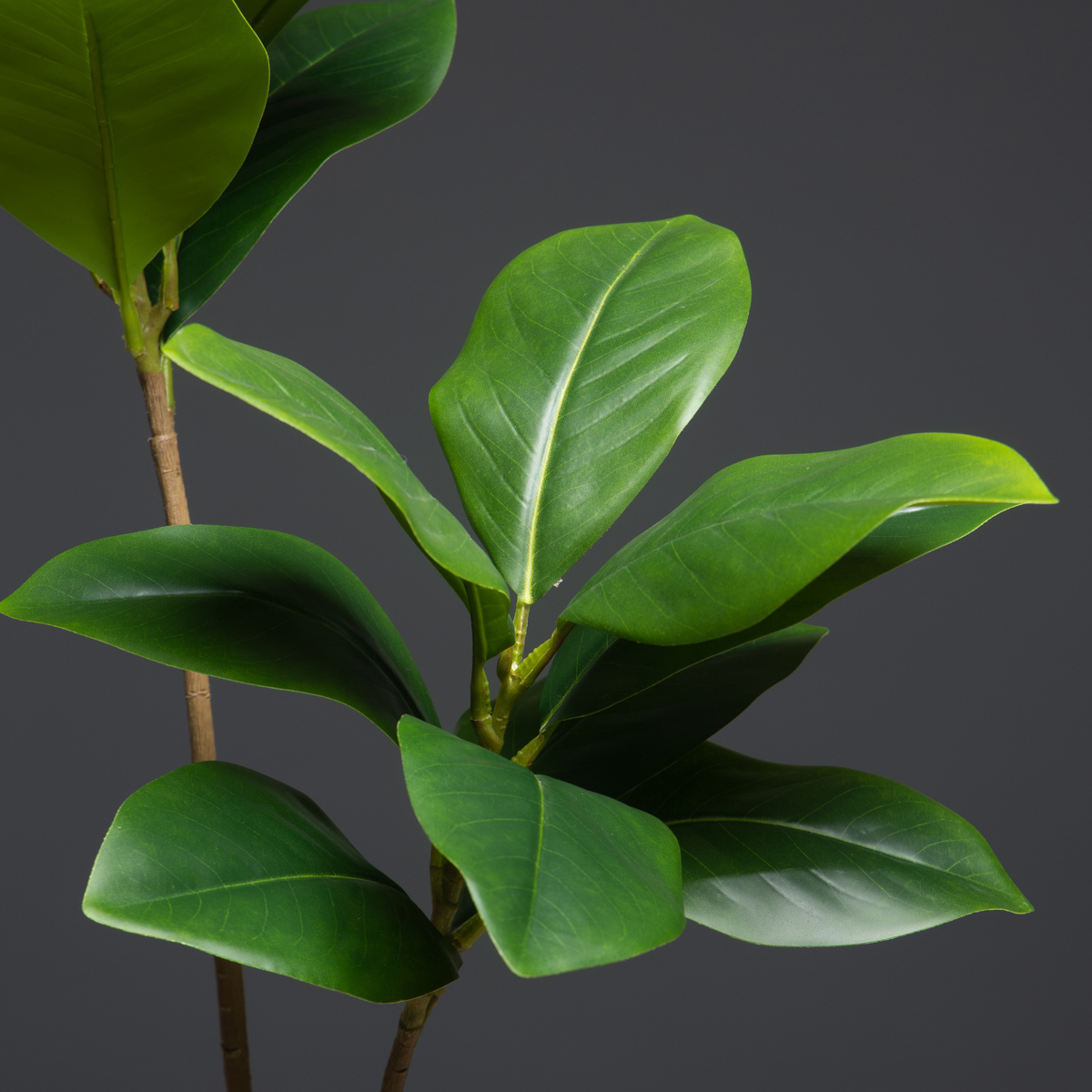 105cm 2 Forks Large Artificial - Dracaena Marginata ulasan dan harga