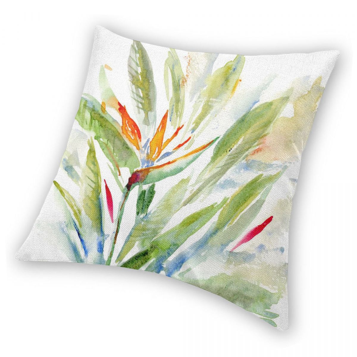 Bird Of Paradise Strelitzia Sq - Bird Paradise Strelitzia ulasan dan harga