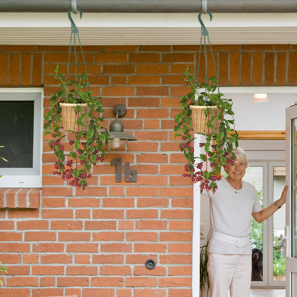 5Pcs Hanging Planter Hooks Ver - Spider Plant Hanging ulasan dan harga