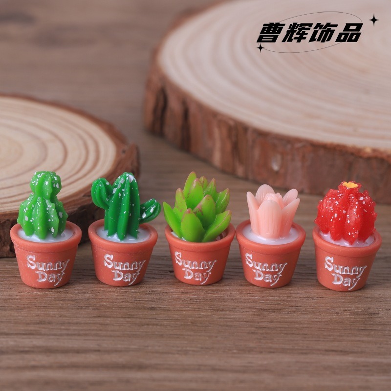 5pcs Simulation succulent pott - Echeveria Succulent ulasan dan harga